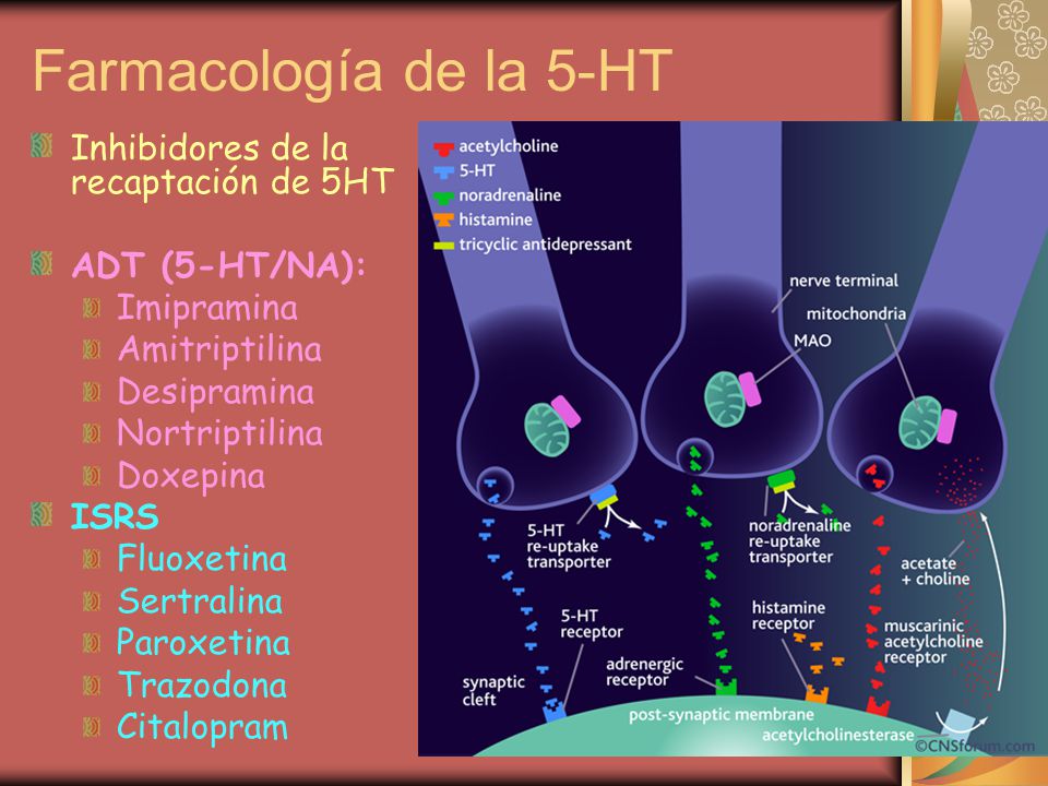 Farmacología de la 5-HT Inhibidores de la recaptación de 5HT