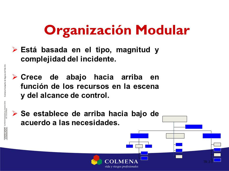Organización Modular Está basada en el tipo, magnitud y complejidad del incidente.