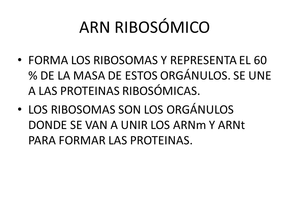 ARN RIBOSÓMICO FORMA LOS RIBOSOMAS Y REPRESENTA EL 60 % DE LA MASA DE ESTOS ORGÁNULOS. SE UNE A LAS PROTEINAS RIBOSÓMICAS.