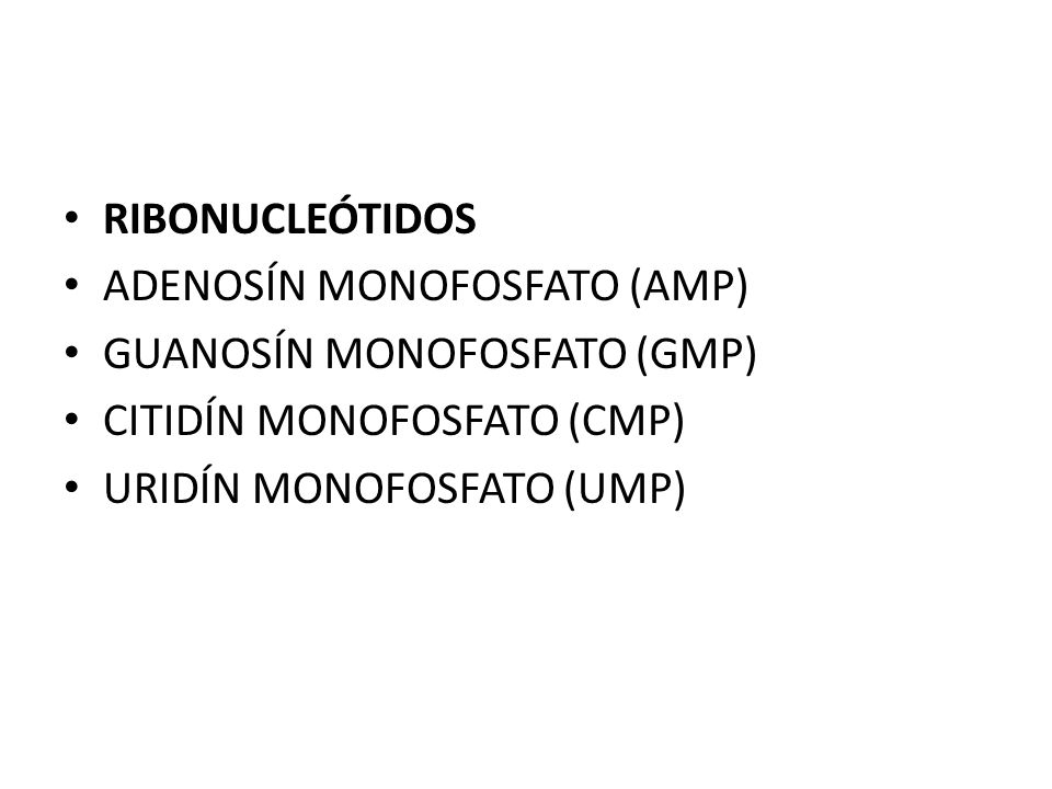 RIBONUCLEÓTIDOS ADENOSÍN MONOFOSFATO (AMP) GUANOSÍN MONOFOSFATO (GMP) CITIDÍN MONOFOSFATO (CMP) URIDÍN MONOFOSFATO (UMP)