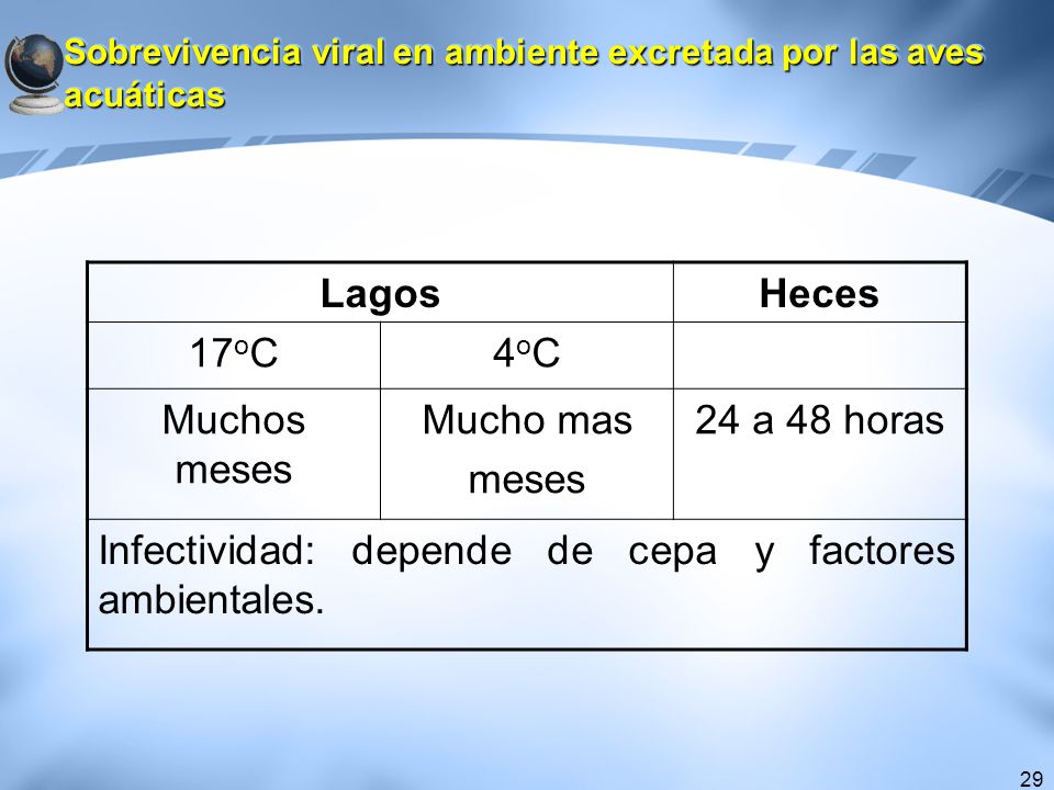 Sobrevivencia viral en ambiente excretada por las aves acuáticas