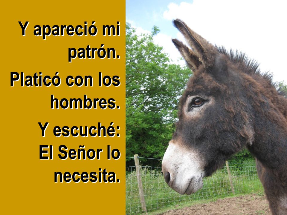 Platicó con los hombres. Y escuché: El Señor lo necesita.