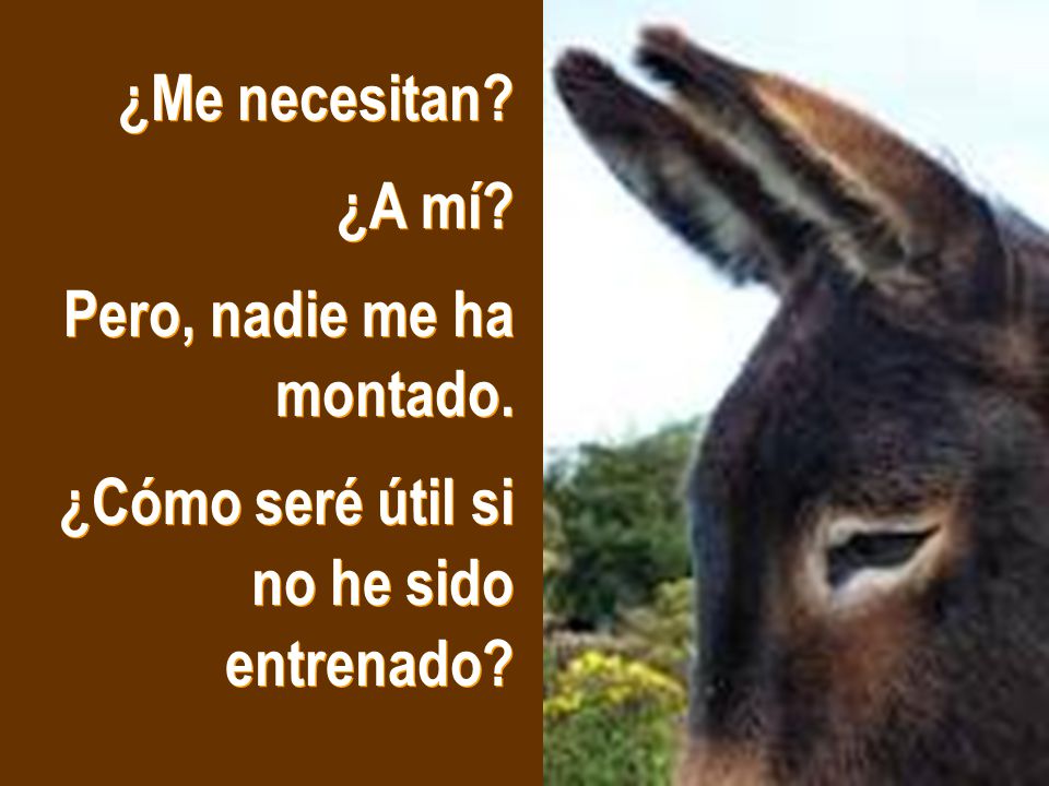 ¿Me necesitan ¿A mí Pero, nadie me ha montado. ¿Cómo seré útil si no he sido entrenado
