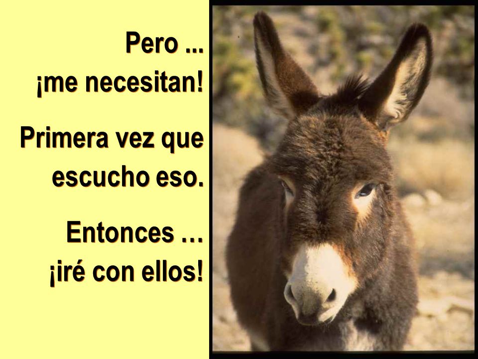 Pero ... ¡me necesitan! Primera vez que escucho eso. Entonces … ¡iré con ellos!