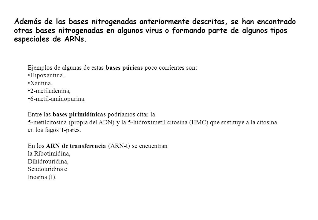 Además de las bases nitrogenadas anteriormente descritas, se han encontrado otras bases nitrogenadas en algunos virus o formando parte de algunos tipos especiales de ARNs.