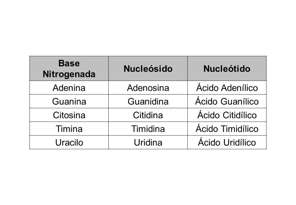 Base Nitrogenada Nucleósido. Nucleótido. Adenina. Adenosina. Ácido Adenílico. Guanina. Guanidina.