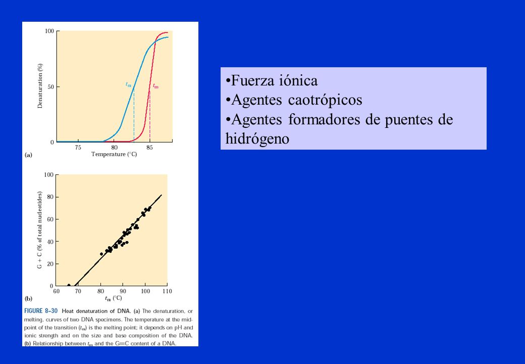 Fuerza iónica Agentes caotrópicos Agentes formadores de puentes de hidrógeno