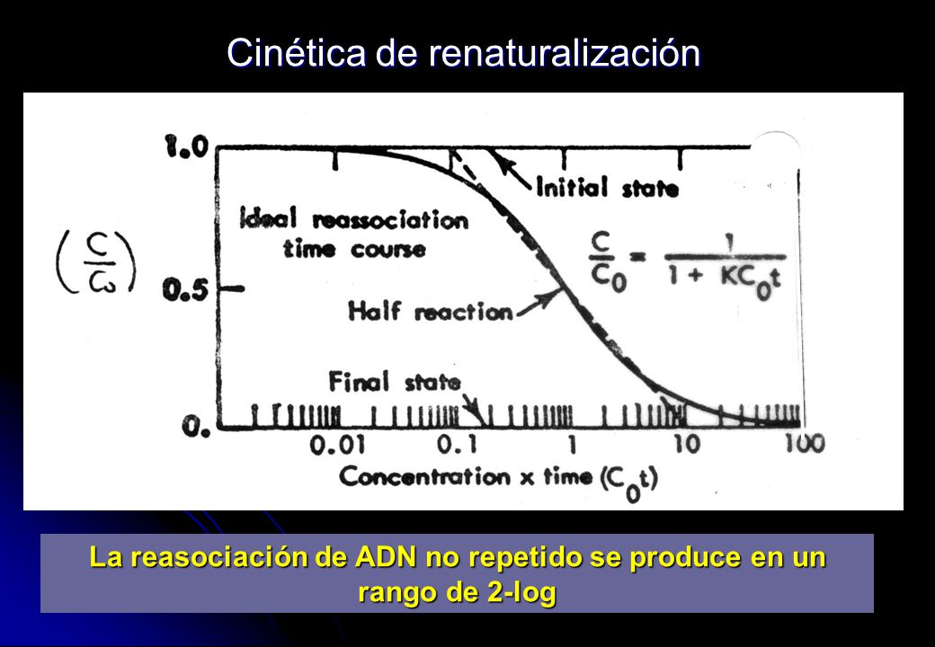 La reasociación de ADN no repetido se produce en un rango de 2-log