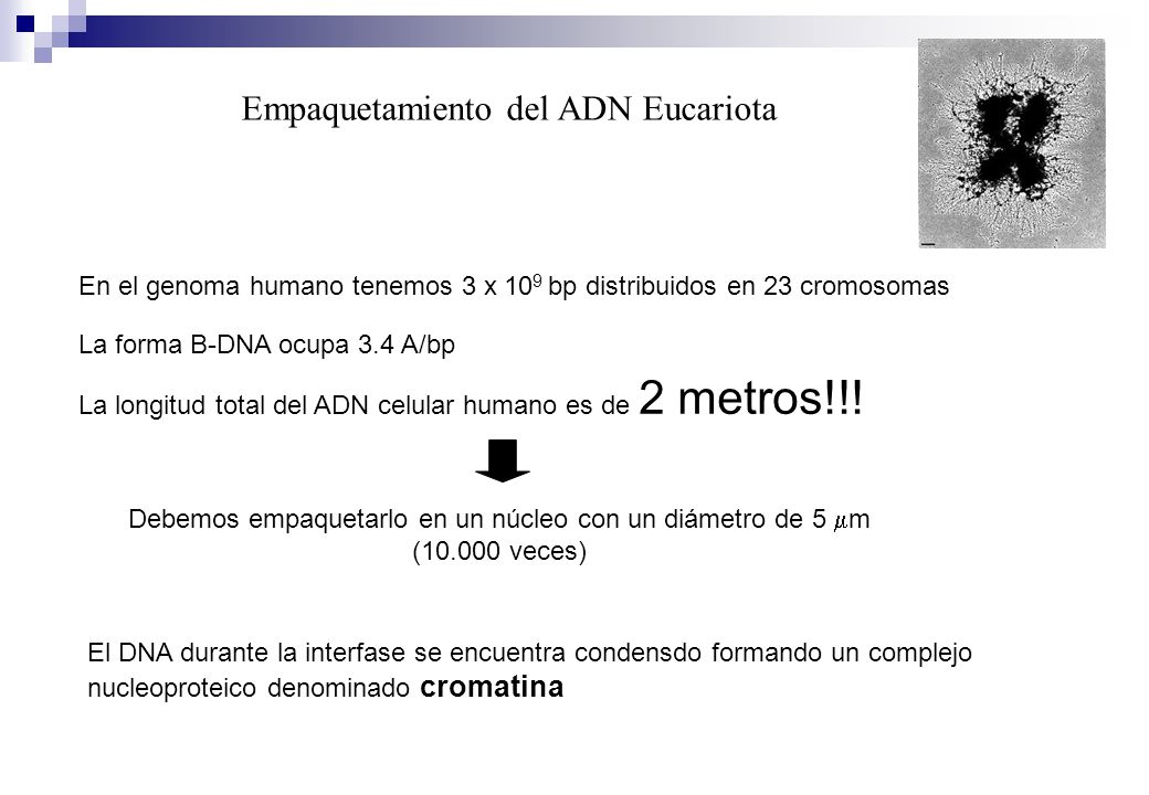Debemos empaquetarlo en un núcleo con un diámetro de 5 mm