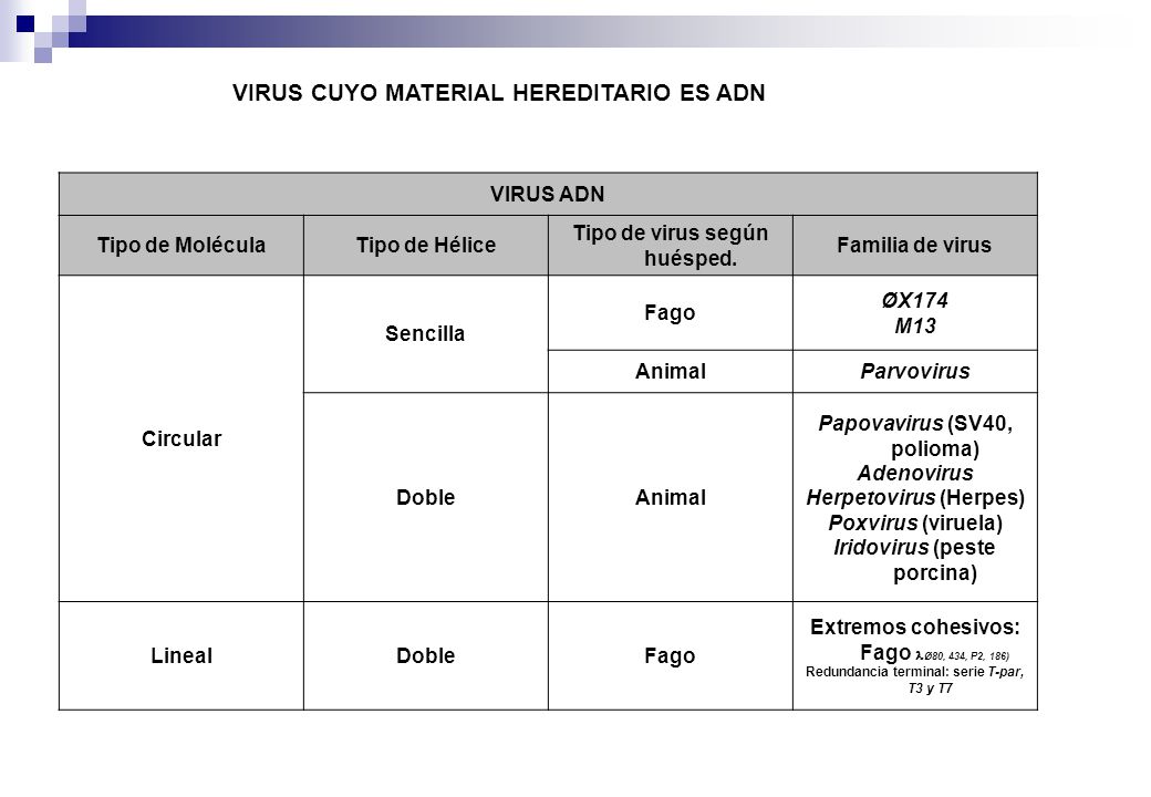 Tipo de virus según huésped. Iridovirus (peste porcina)