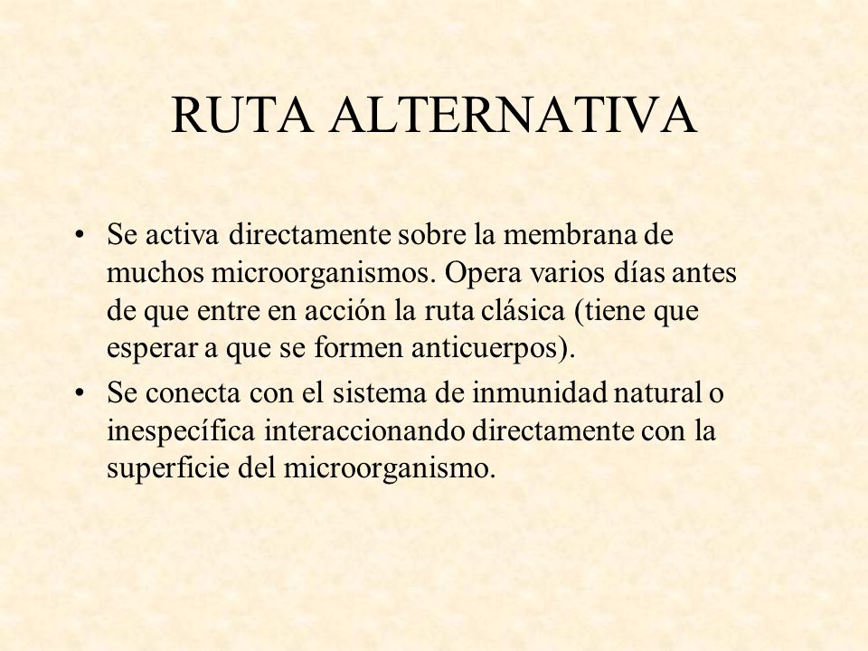 RUTA ALTERNATIVA