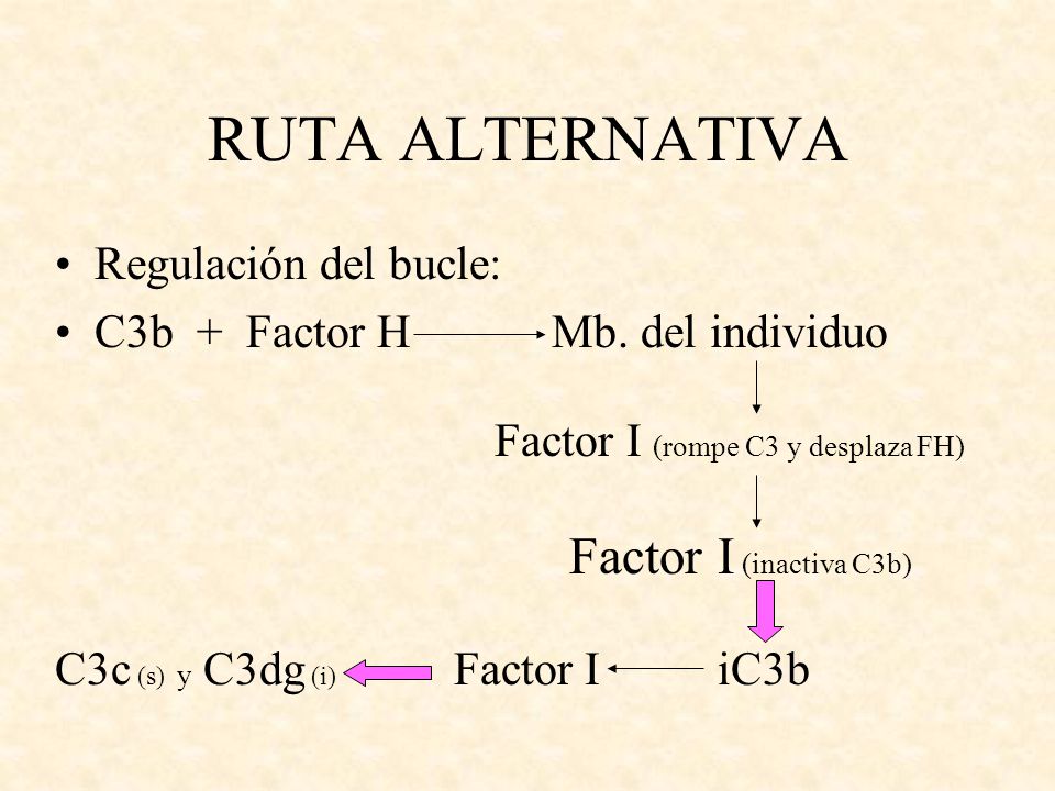 RUTA ALTERNATIVA Factor I (inactiva C3b) Regulación del bucle: