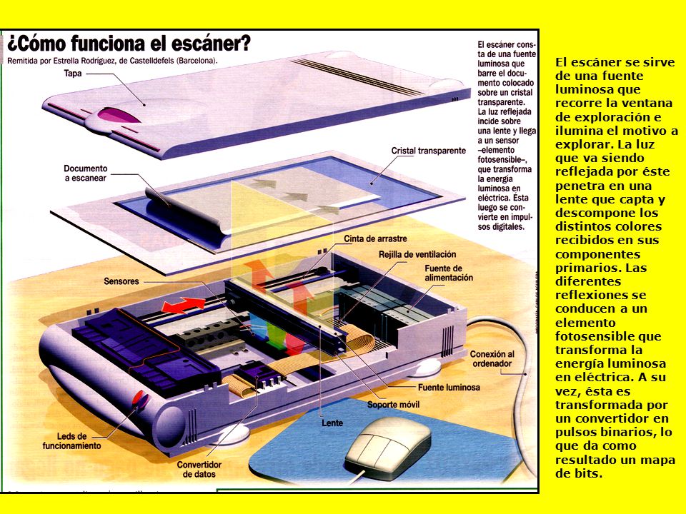 El escáner se sirve de una fuente luminosa que recorre la ventana de exploración e ilumina el motivo a explorar.