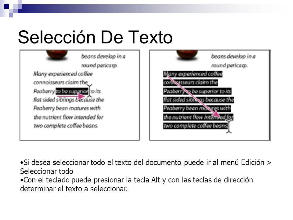 Selección De Texto Si desea seleccionar todo el texto del documento puede ir al menú Edición > Seleccionar todo.