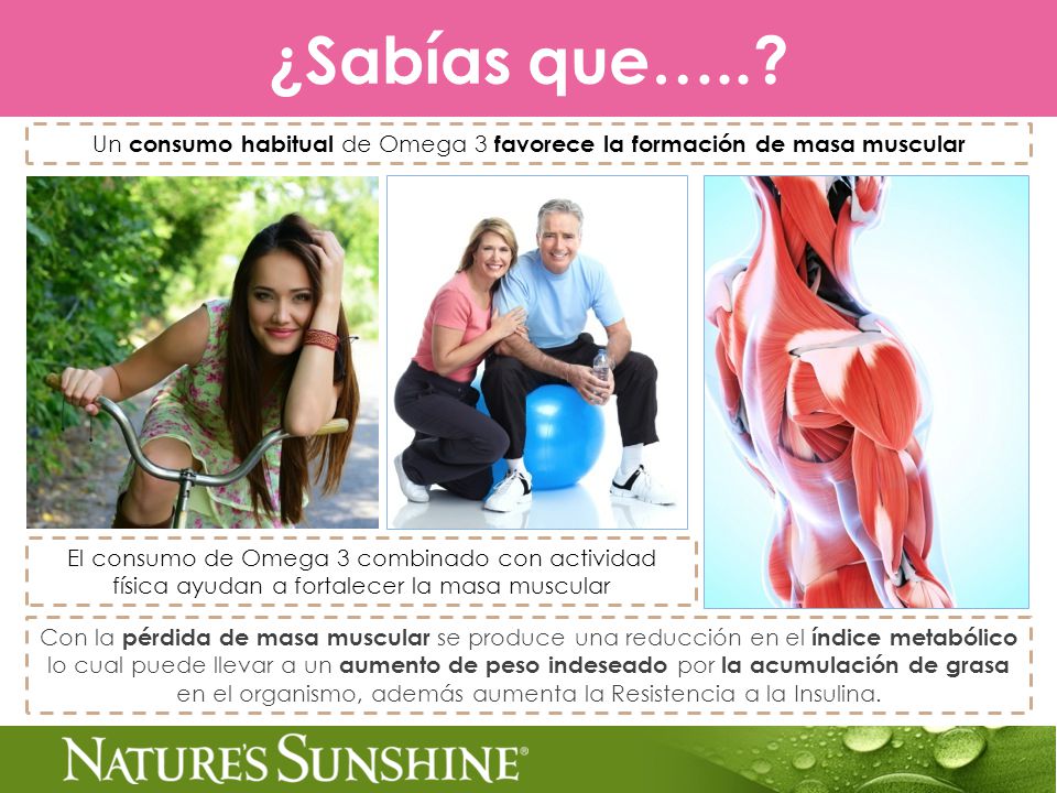 Un consumo habitual de Omega 3 favorece la formación de masa muscular