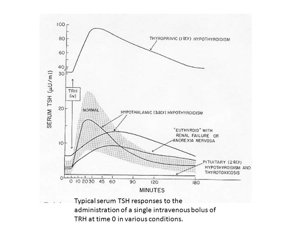 Typical serum TSH responses to the administration of a single intravenous bolus of TRH at time 0 in various conditions.