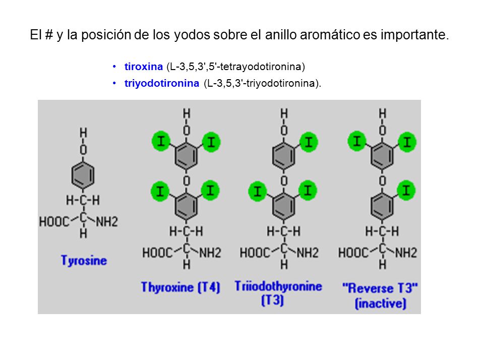 El # y la posición de los yodos sobre el anillo aromático es importante.