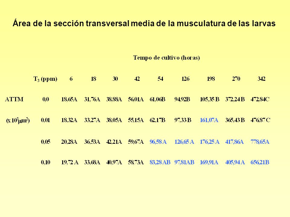 Área de la sección transversal media de la musculatura de las larvas