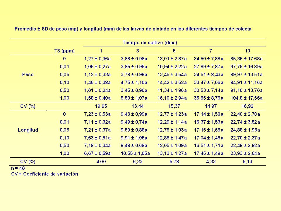 Promedio ± SD de peso (mg) y longitud (mm) de las larvas de pintado en los diferentes tiempos de colecta.