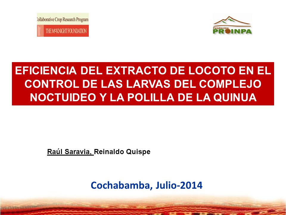 EFICIENCIA DEL EXTRACTO DE LOCOTO EN EL CONTROL DE LAS LARVAS DEL COMPLEJO NOCTUIDEO Y LA POLILLA DE LA QUINUA