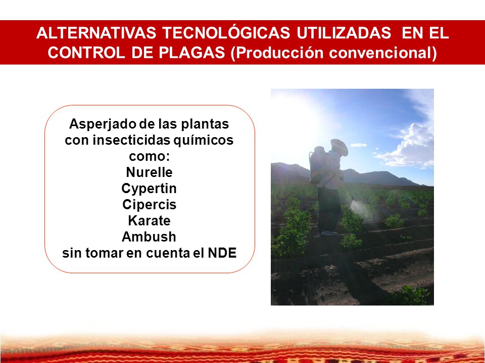 ALTERNATIVAS TECNOLÓGICAS UTILIZADAS EN EL CONTROL DE PLAGAS (Producción convencional)