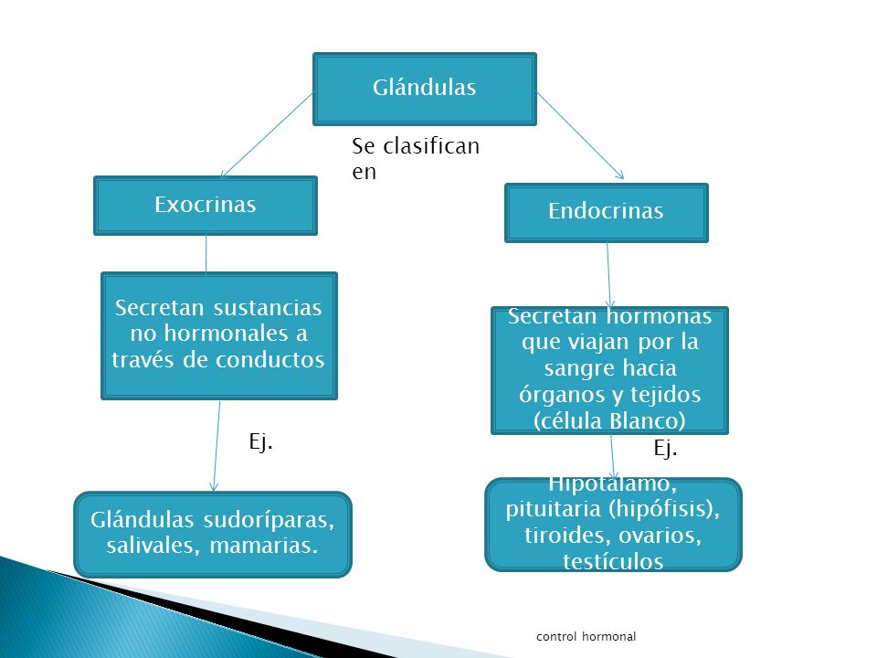 Colegio Santa Sabina Segundo año medio Depto. De Ciencias - ppt descargar