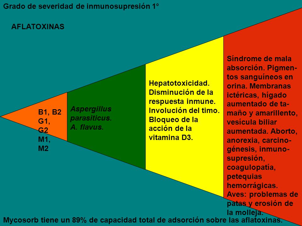 B1, B2 G1, G2 M1, M2. Aspergillus parasiticus. A. flavus. Hepatotoxicidad. Disminución de la respuesta inmune.