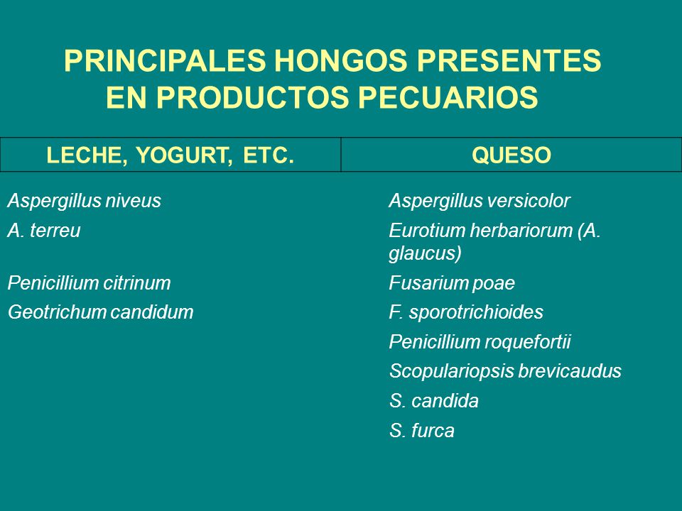 PRINCIPALES HONGOS PRESENTES EN PRODUCTOS PECUARIOS