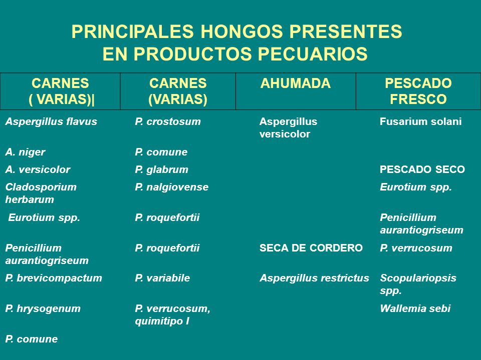 PRINCIPALES HONGOS PRESENTES EN PRODUCTOS PECUARIOS
