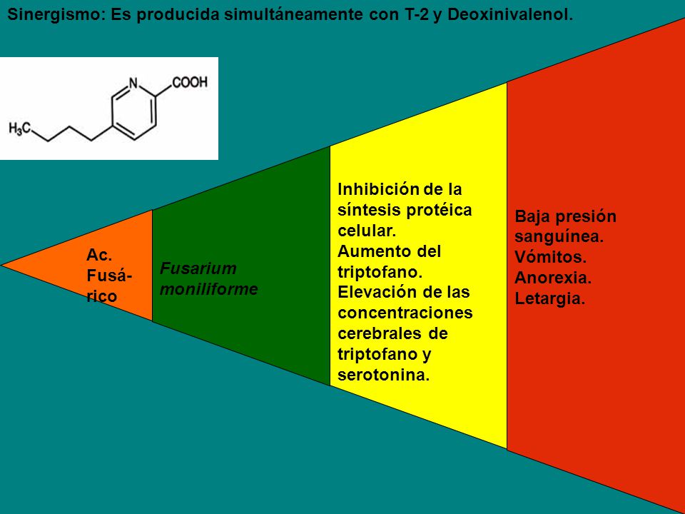 Ac. Fusá- rico Fusarium moniliforme. Inhibición de la síntesis protéica celular. Aumento del triptofano.