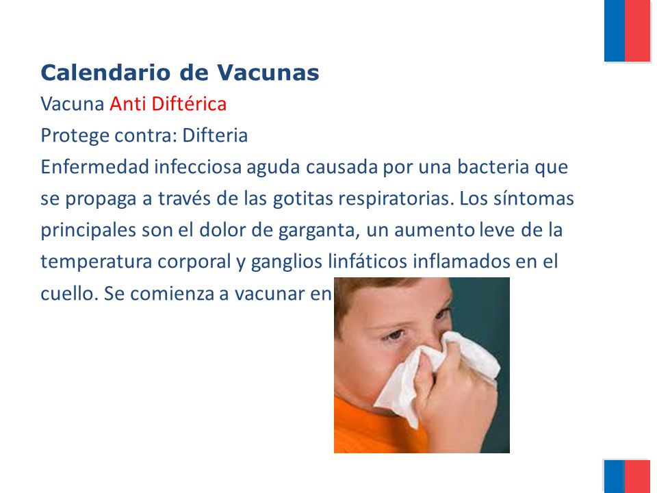 Calendario de Vacunas Vacuna Anti Diftérica. Protege contra: Difteria. Enfermedad infecciosa aguda causada por una bacteria que.