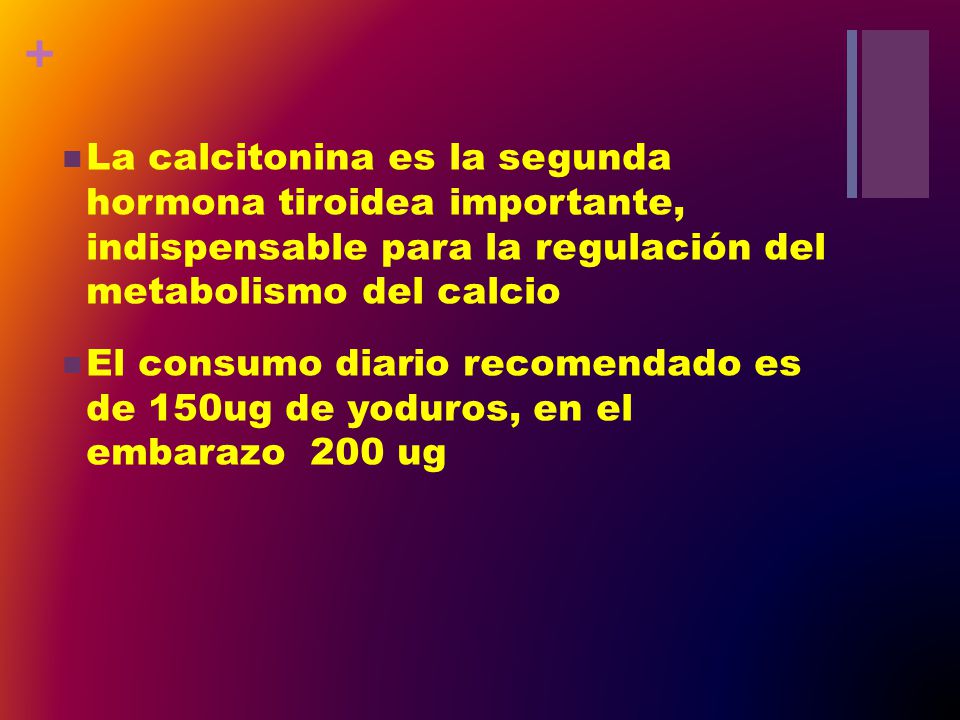 La calcitonina es la segunda hormona tiroidea importante, indispensable para la regulación del metabolismo del calcio