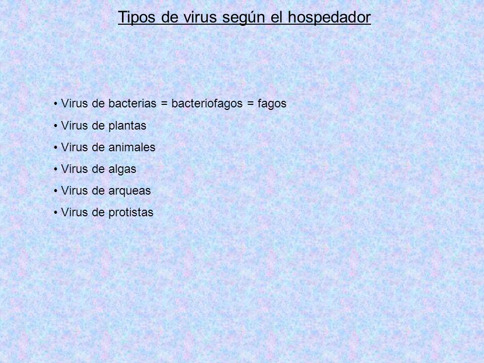 Tipos de virus según el hospedador