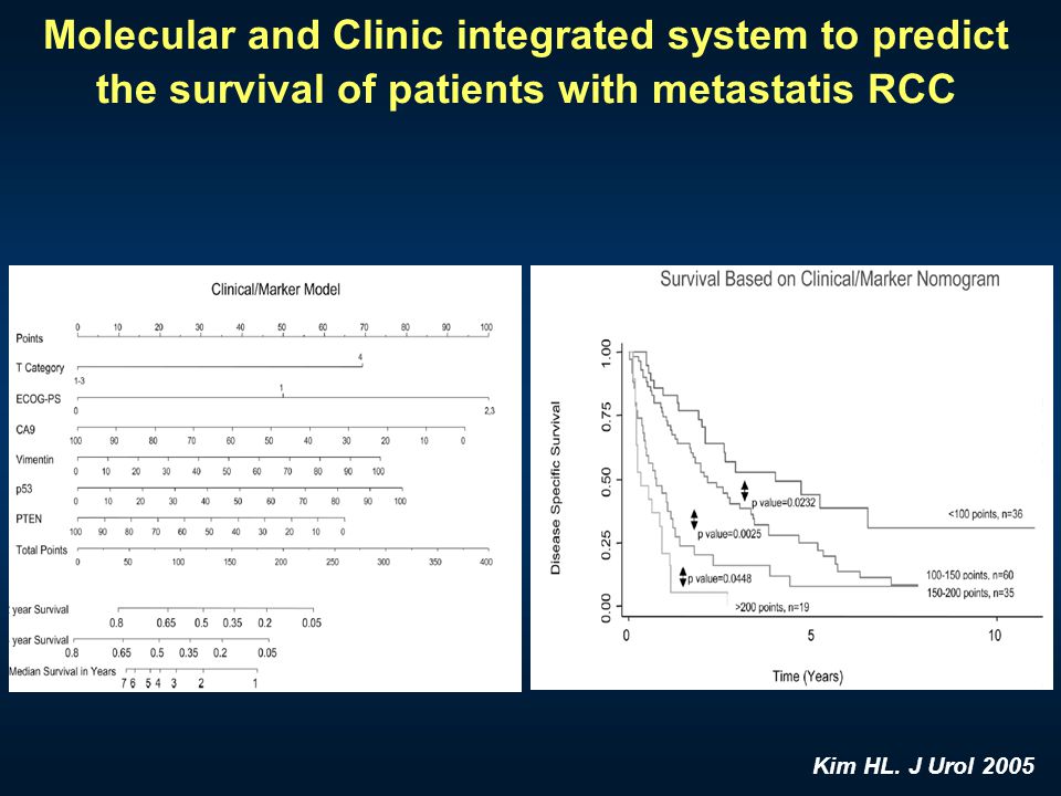 Molecular and Clinic integrated system to predict the survival of patients with metastatis RCC
