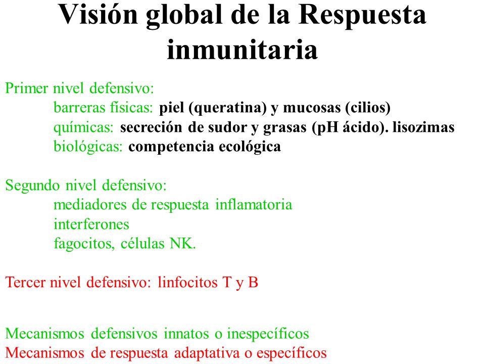 Visión global de la Respuesta inmunitaria