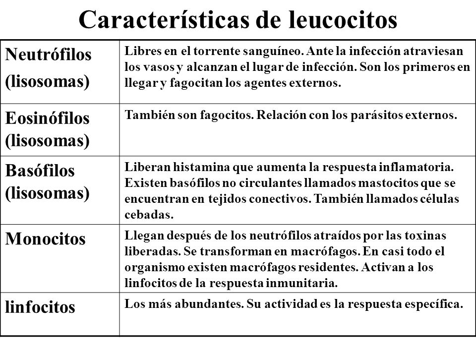 Características de leucocitos
