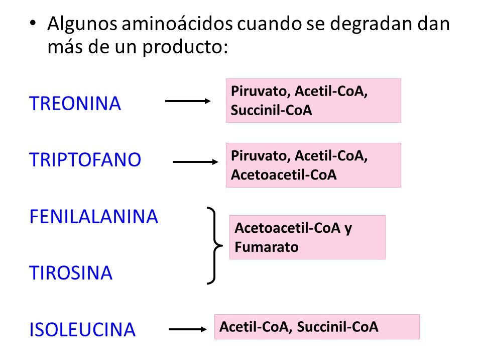 Algunos aminoácidos cuando se degradan dan más de un producto: