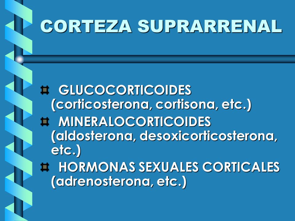 CORTEZA SUPRARRENAL GLUCOCORTICOIDES (corticosterona, cortisona, etc.)
