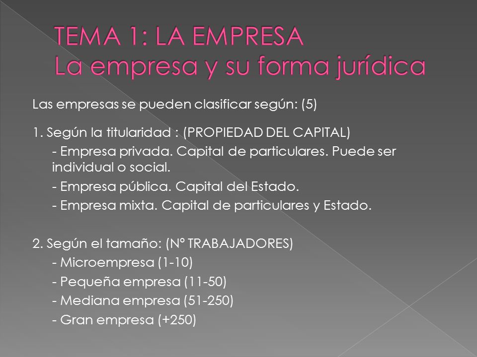 TEMA 1: LA EMPRESA La empresa y su forma jurídica