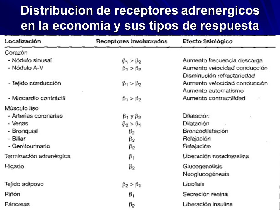 Distribucion de receptores adrenergicos en la economia y sus tipos de respuesta