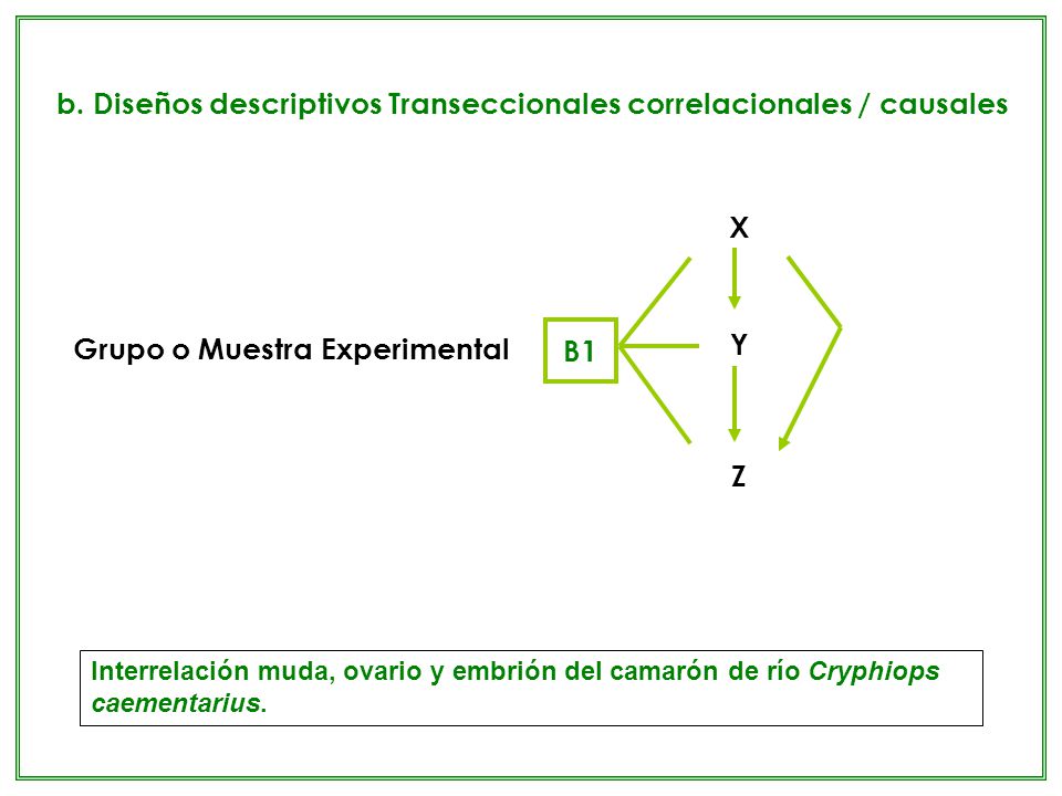 b. Diseños descriptivos Transeccionales correlacionales / causales