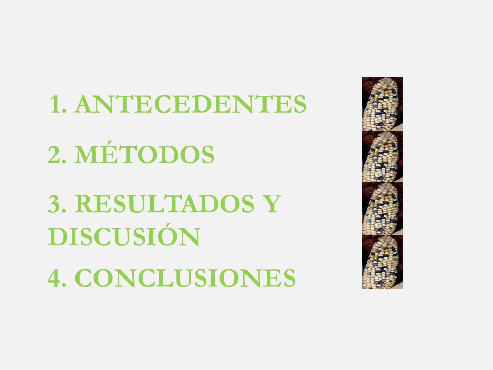 1. ANTECEDENTES 2. MÉTODOS 3. RESULTADOS Y DISCUSIÓN 4. CONCLUSIONES