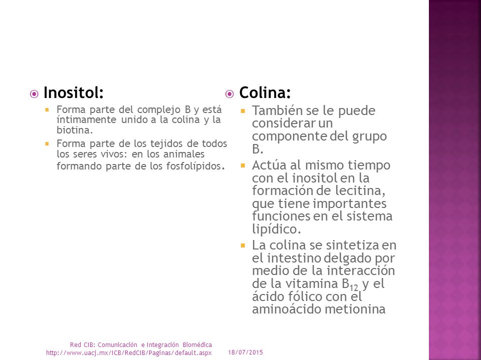 Inositol: Forma parte del complejo B y está íntimamente unido a la colina y la biotina.