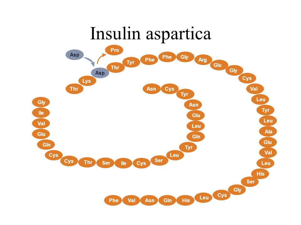 Insulin aspartica Pro Asp Phe Gly Phe Arg Tyr Glu Thr Gly Asp Cys Lys