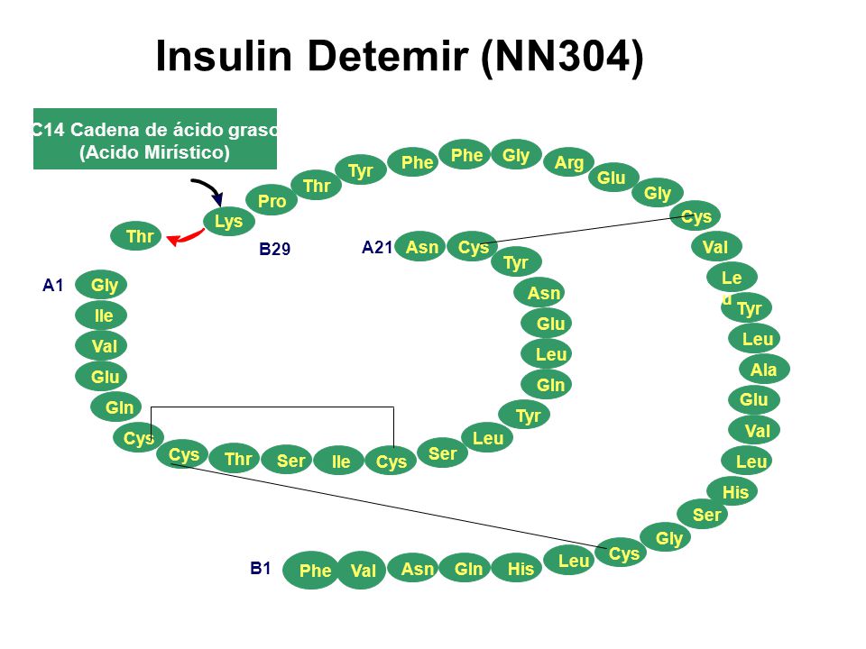 Insulin Detemir (NN304) C14 Cadena de ácido graso (Acido Mirístico)