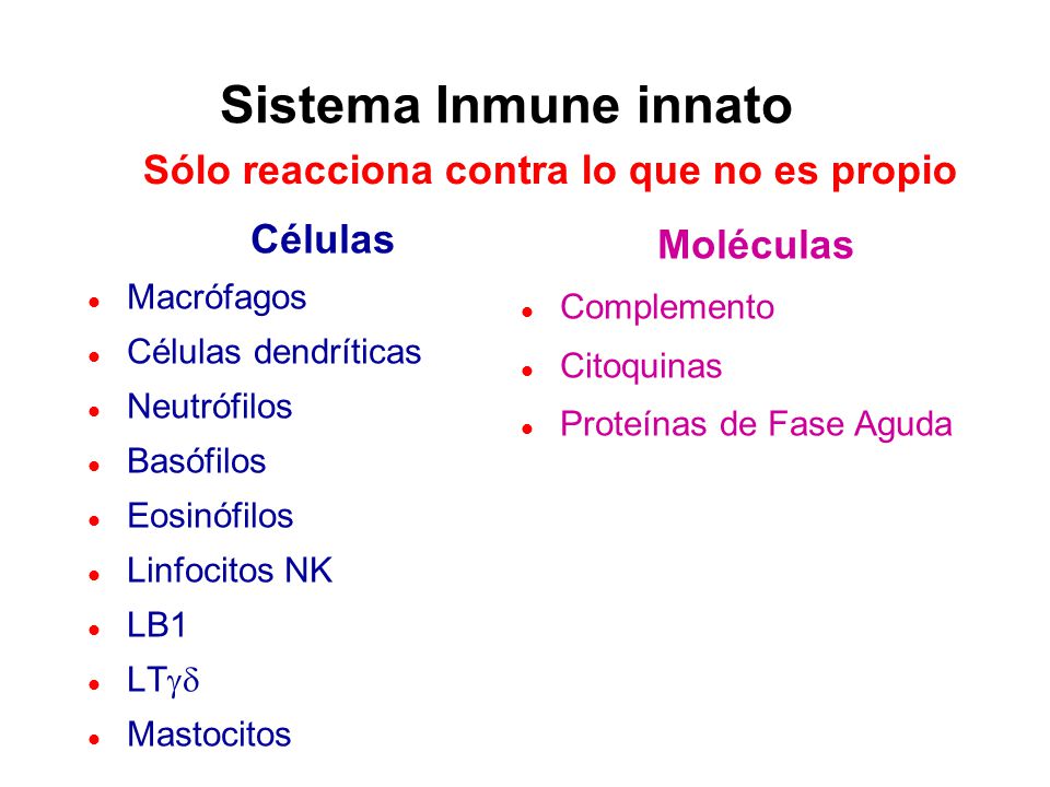 Sistema Inmune innato Sólo reacciona contra lo que no es propio