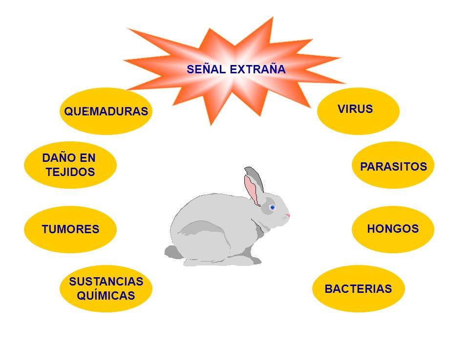 SEÑAL EXTRAÑA QUEMADURAS. VIRUS. DAÑO EN. TEJIDOS. PARASITOS. TUMORES. HONGOS. SUSTANCIAS. QUÍMICAS.