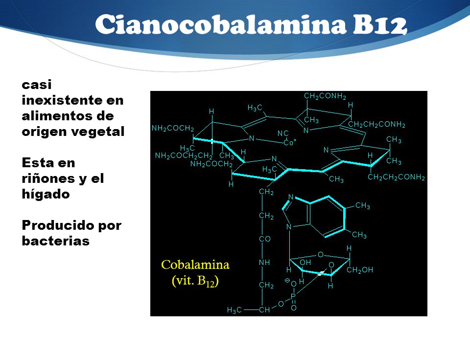 Cianocobalamina B12 casi inexistente en alimentos de origen vegetal