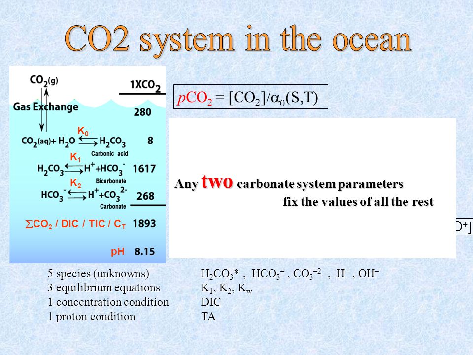 CO2 system in the ocean pCO2 = [CO2]/0(S,T) pH= -log [H3O+]
