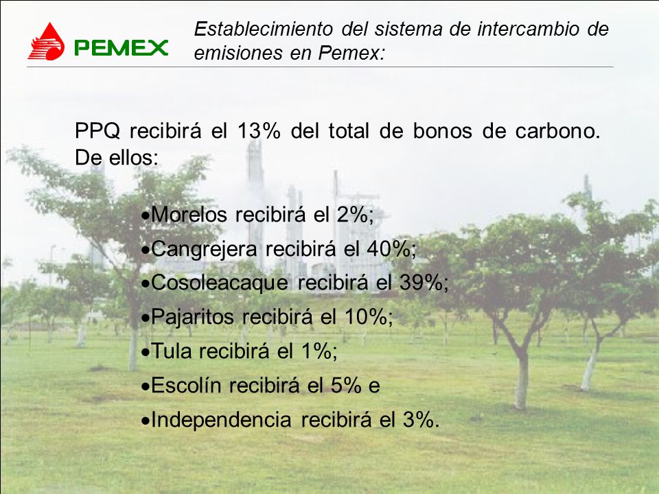 PPQ recibirá el 13% del total de bonos de carbono. De ellos: